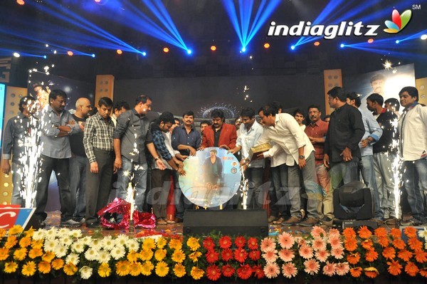 'Legend Audio Launch (Set-3)