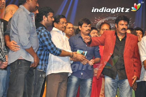 'Legend Audio Launch (Set-3)