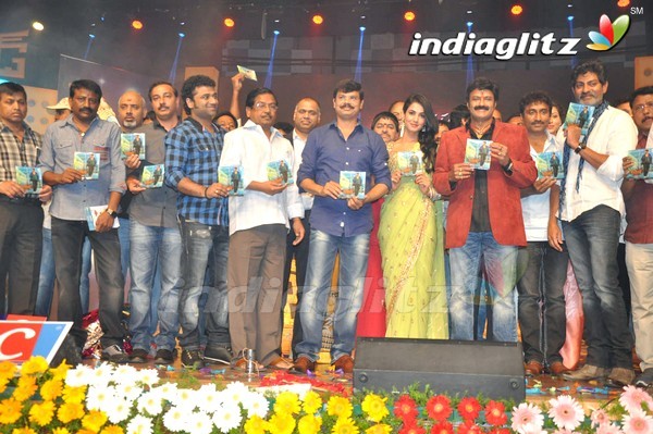 'Legend Audio Launch (Set-3)