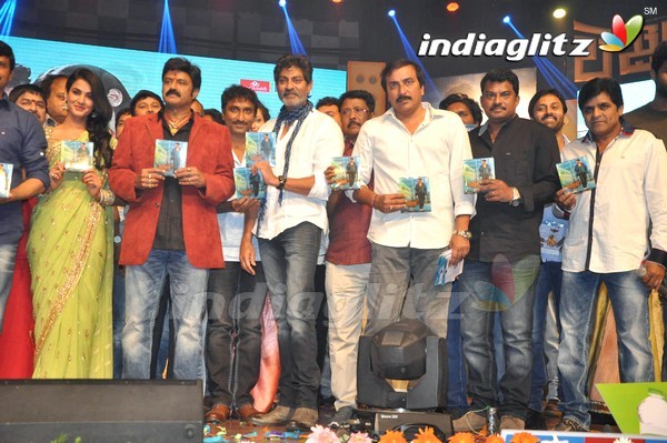 'Legend Audio Launch (Set-3)