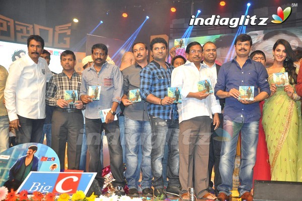 'Legend Audio Launch (Set-3)