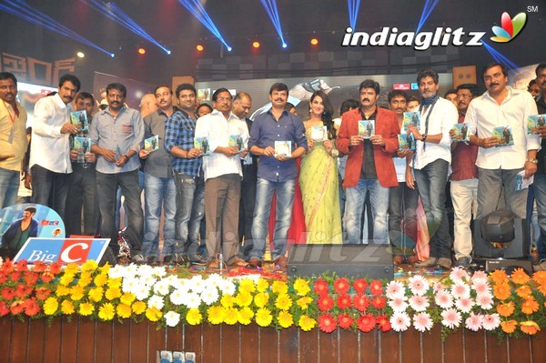 'Legend Audio Launch (Set-3)