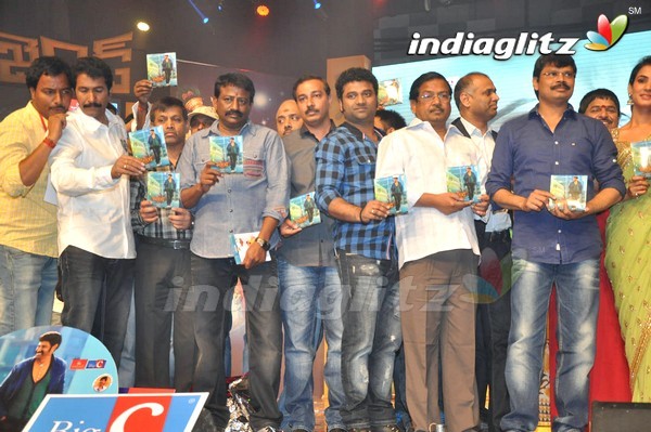 'Legend Audio Launch (Set-3)