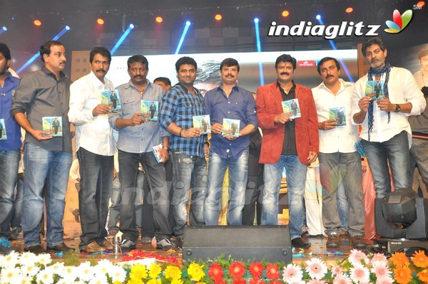 'Legend Audio Launch (Set-3)