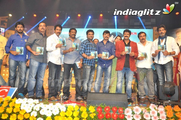 'Legend Audio Launch (Set-3)