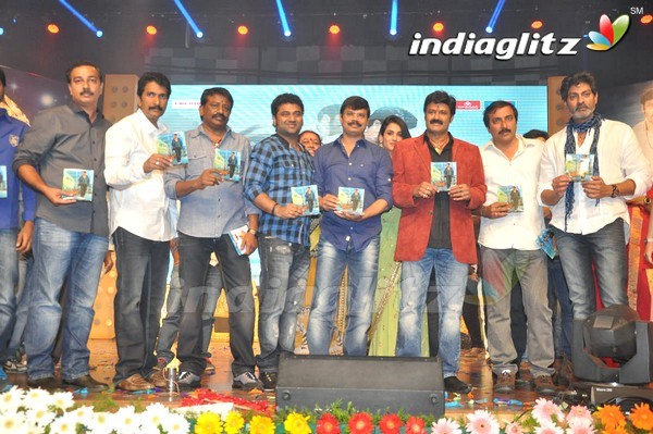 'Legend Audio Launch (Set-3)