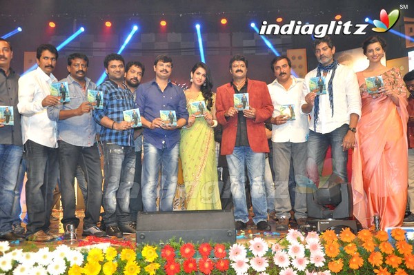 'Legend Audio Launch (Set-3)