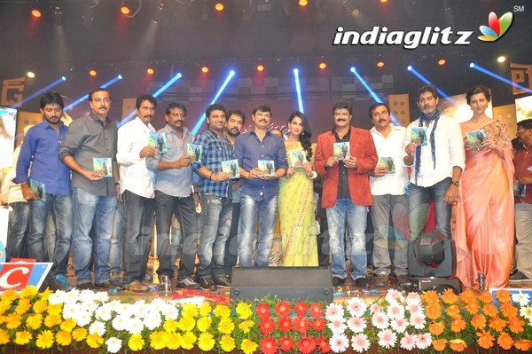 'Legend Audio Launch (Set-3)