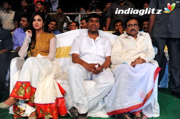 'Legend' 400 Days Celebrations At Yemmiganur Set-1