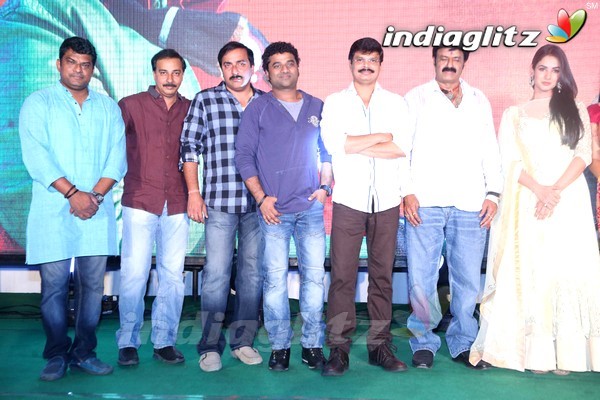 'Legend' Success Meet Set-2