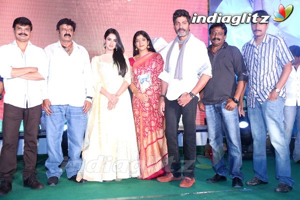 'Legend' Success Meet Set-2