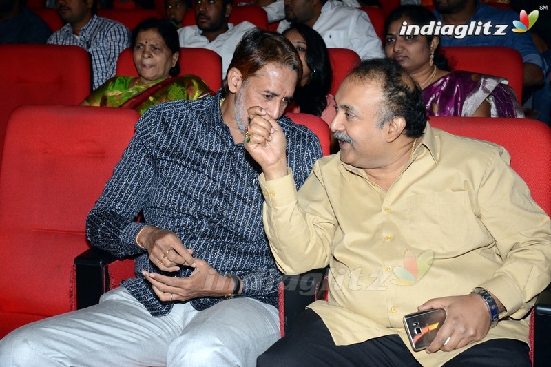 'Loafer' Audio Launch (Set-1)