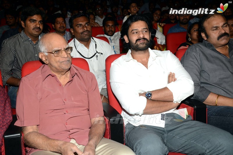 'Loafer' Audio Launch (Set-1)