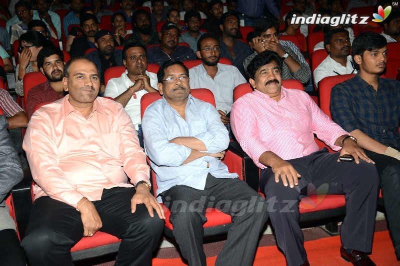 'Loafer' Audio Launch (Set-1)