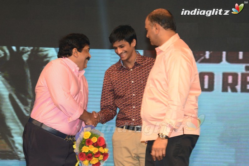 'Loafer' Audio Launch (Set-1)