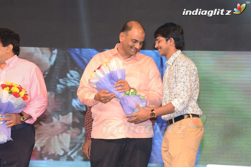 'Loafer' Audio Launch (Set-1)