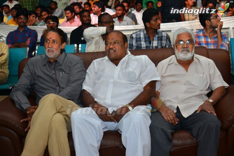 'Loafer' Triple Platinum Disc Function