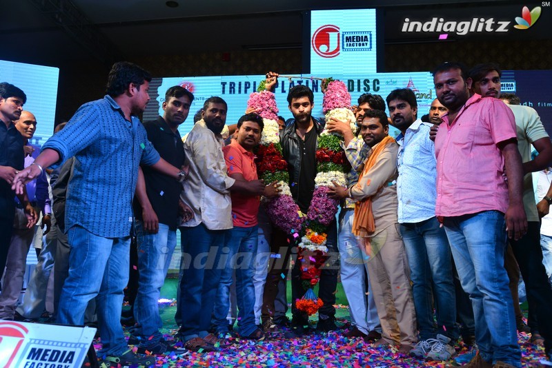 'Loafer' Triple Platinum Disc Function