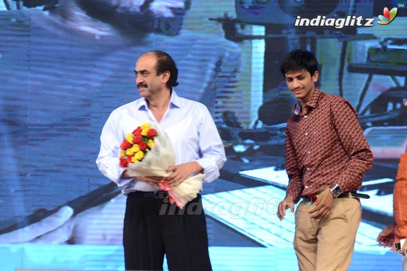 'Loafer' Audio Launch (Set-2)