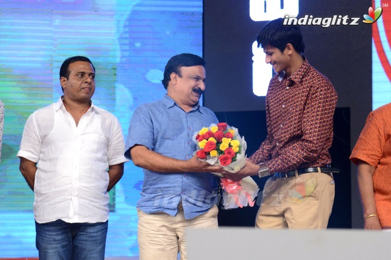 'Loafer' Audio Launch (Set-2)