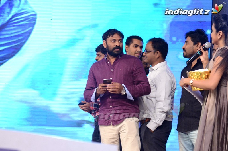 'Loafer' Audio Launch (Set-2)