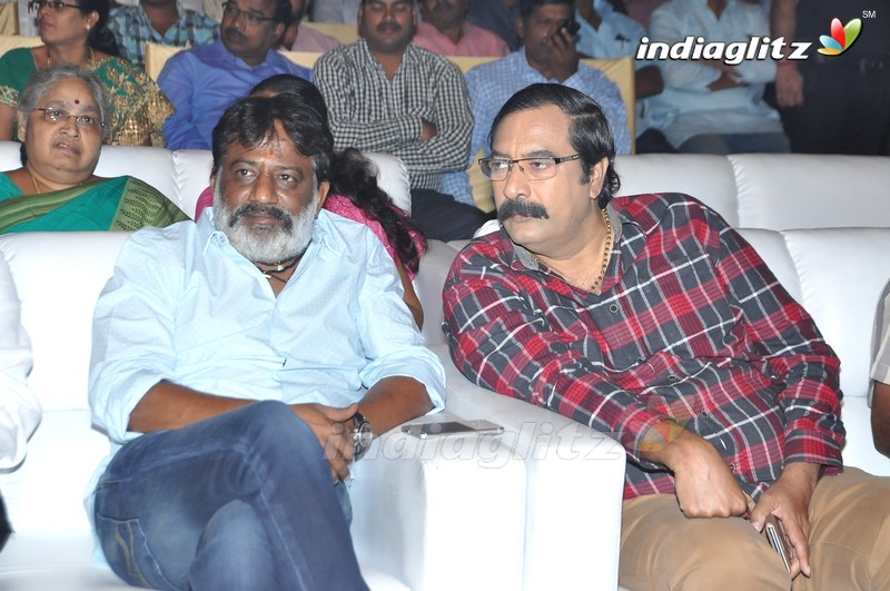 'Maa Abbayi' Audio Launch