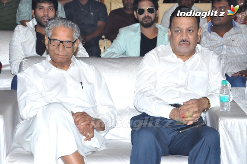 'Maa Abbayi' Audio Launch