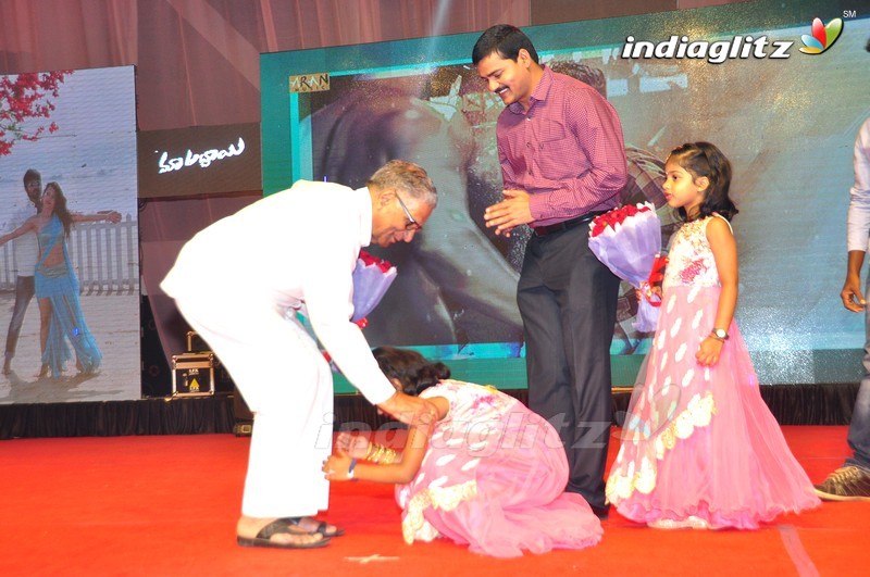 'Maa Abbayi' Audio Launch