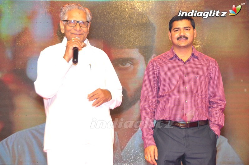 'Maa Abbayi' Audio Launch