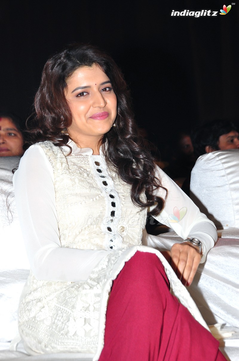 'Maa Abbayi' Audio Launch