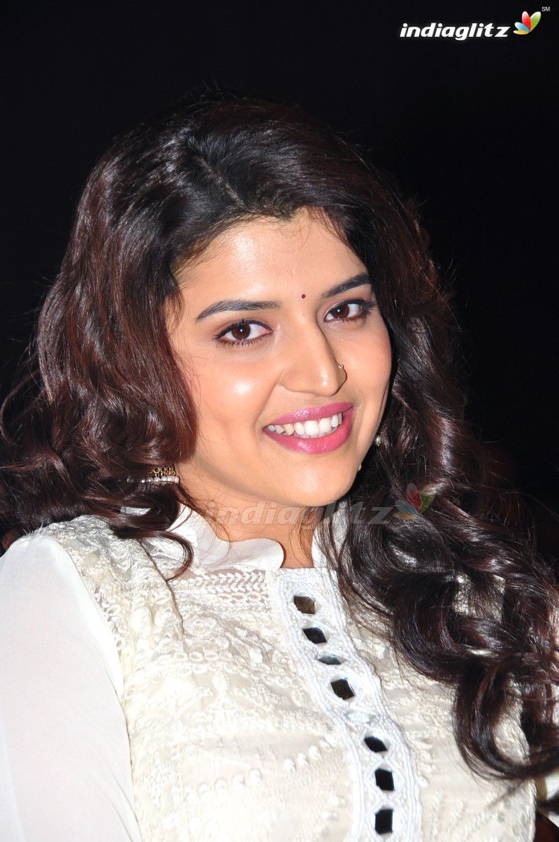 'Maa Abbayi' Audio Launch