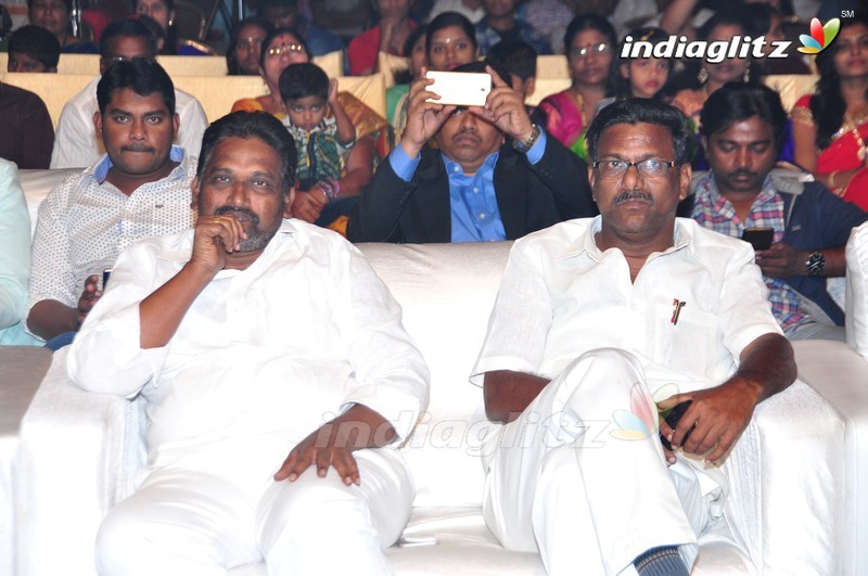 'Maa Abbayi' Audio Launch