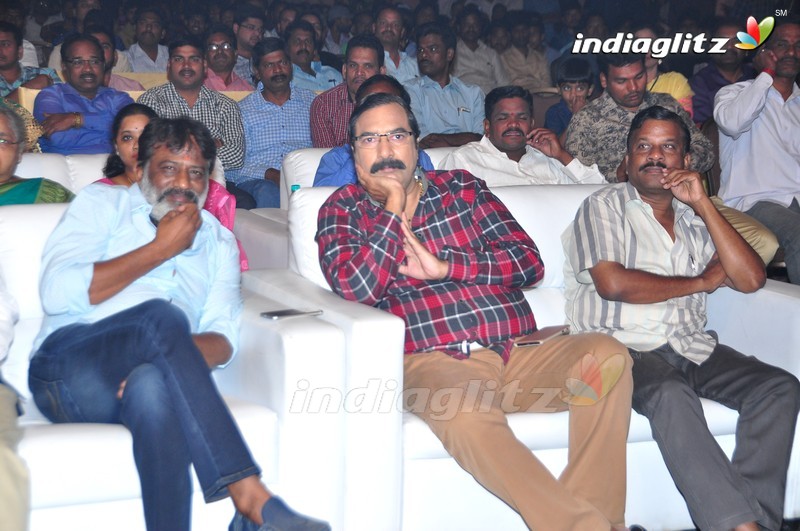 'Maa Abbayi' Audio Launch