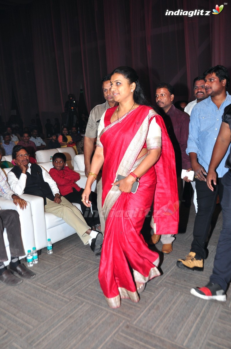 'Maa Abbayi' Audio Launch