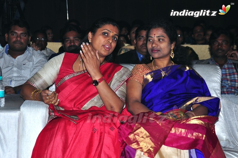 'Maa Abbayi' Audio Launch