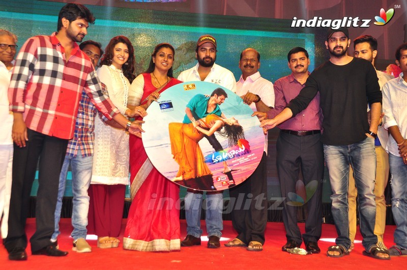 'Maa Abbayi' Audio Launch