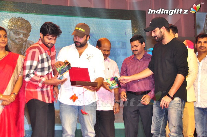 'Maa Abbayi' Audio Launch