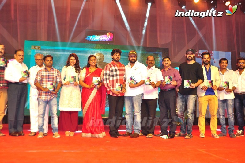 'Maa Abbayi' Audio Launch