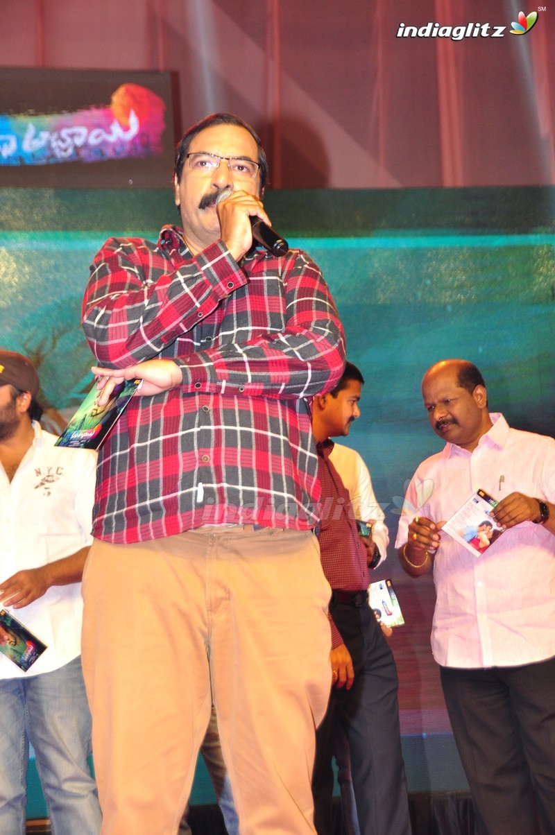 'Maa Abbayi' Audio Launch