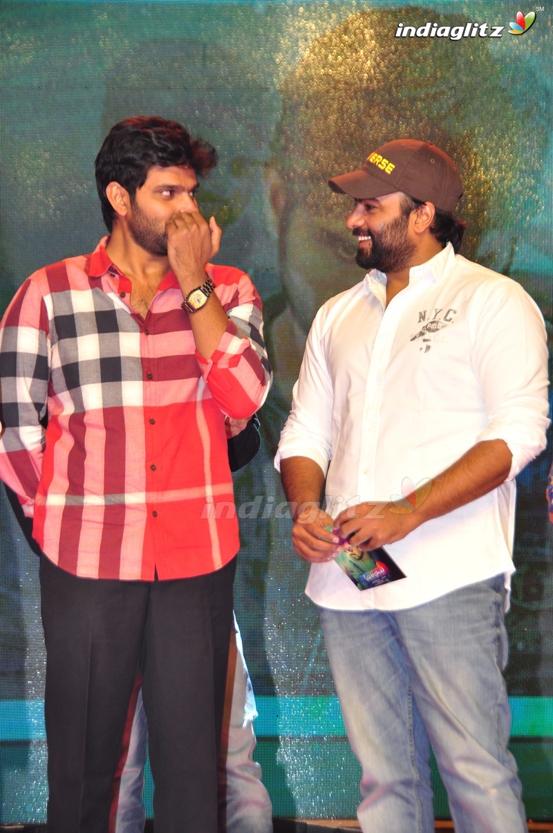 'Maa Abbayi' Audio Launch