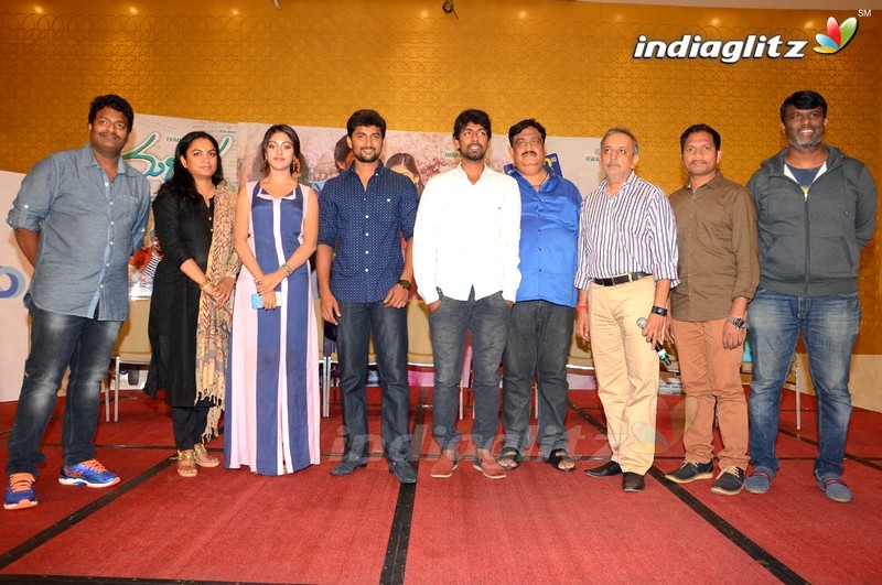 'Majnu' Audio Success Meet