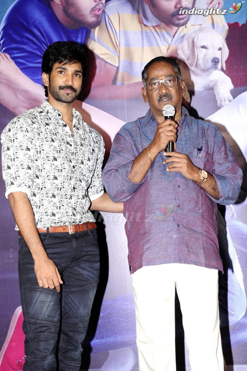 'Malupu' Success Meet