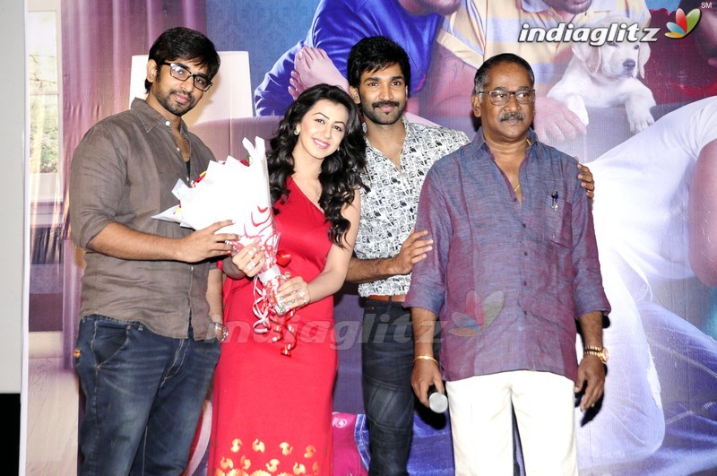 'Malupu' Success Meet