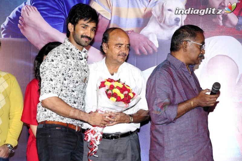 'Malupu' Success Meet