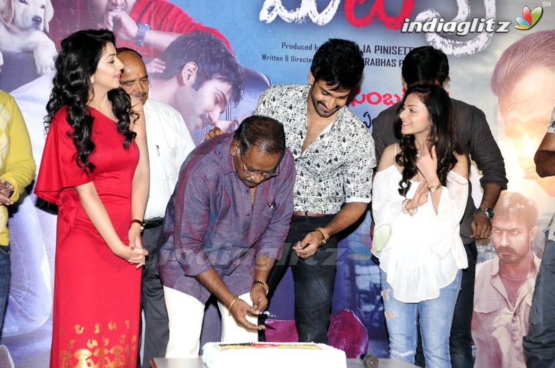 'Malupu' Success Meet