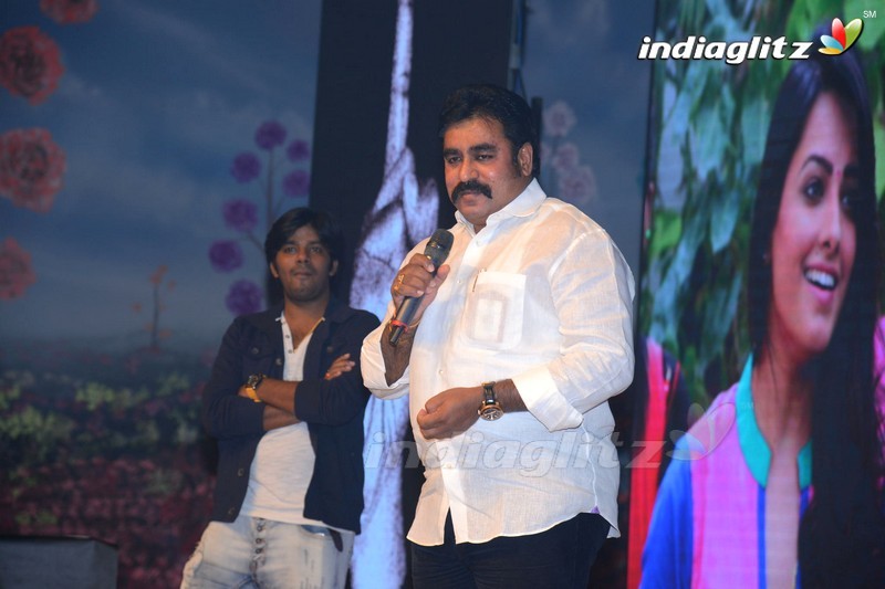 'Manalo Okkadu' Audio Launch