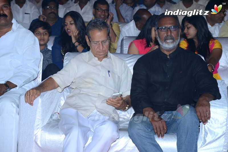 'Manalo Okkadu' Audio Launch