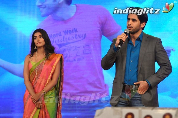 'Manam' 100 Days Celebrations Set-2