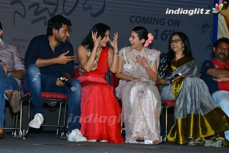 'Manasuku Nachindi' Audio Launch