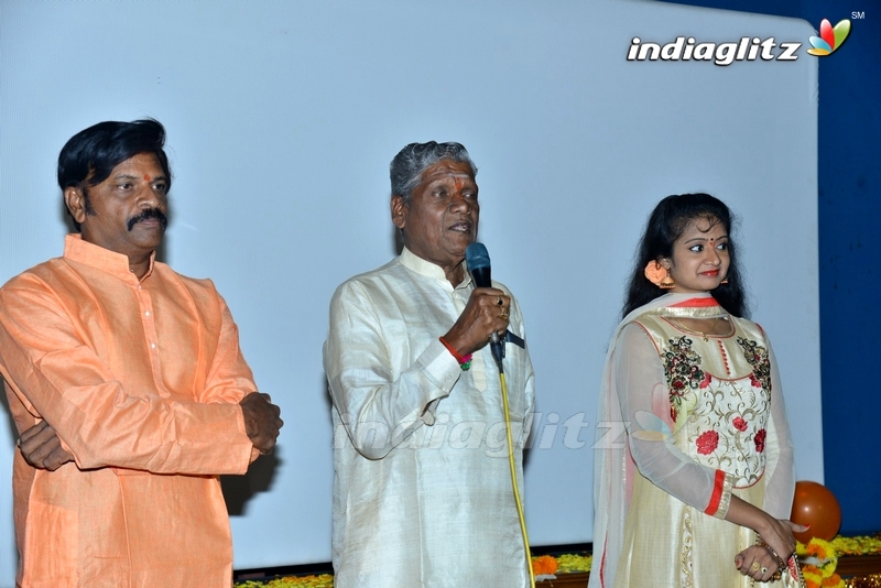 'Mass Power' Audio Launch